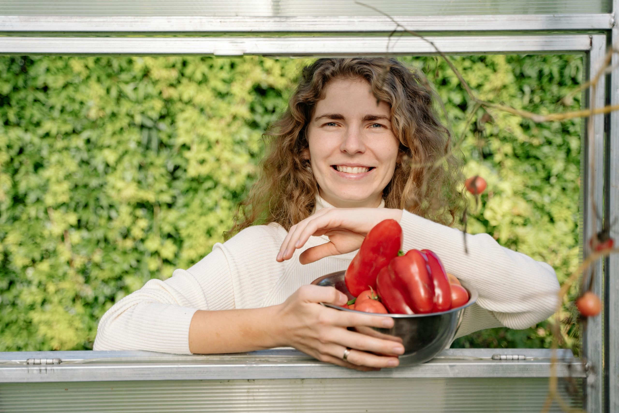 Kostenloses Stock Foto zu ernte, feldfüchte, fenster