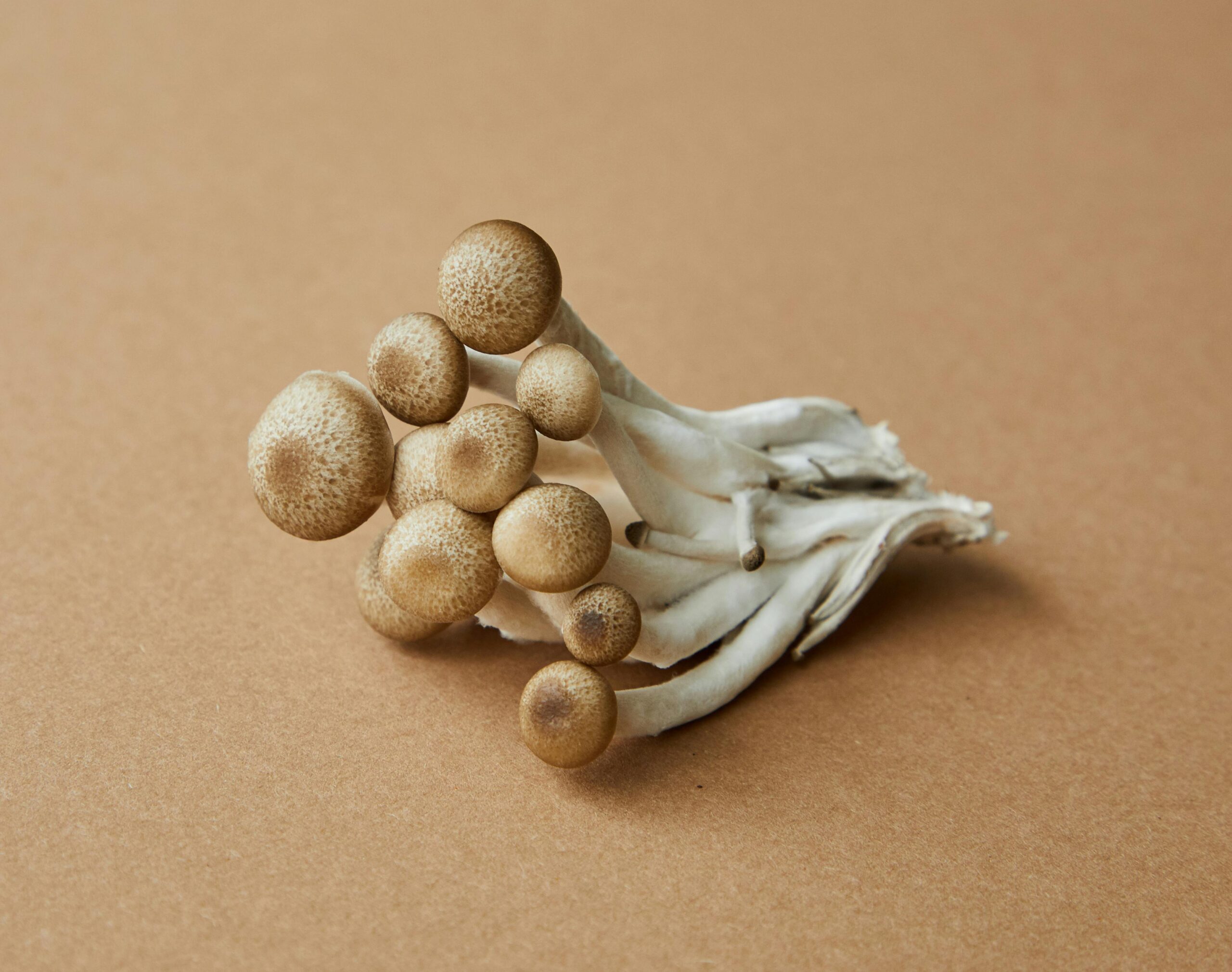 Braune Runde Frucht Auf Brauner Oberfläche